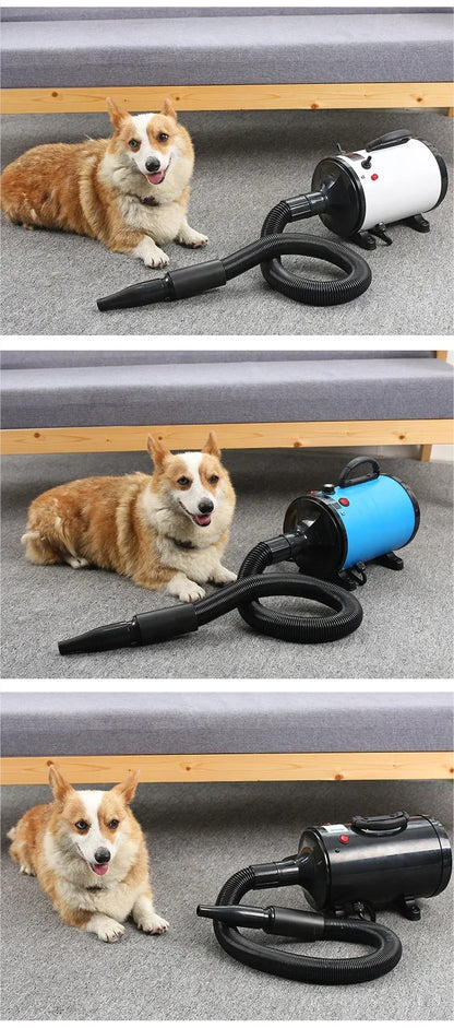 Dog Dryers 3.8HP 2800W Stepless Speed Pet Hair Blaster With Heat Professional Dog Air Force Grooming Blower For Big Medium Dog