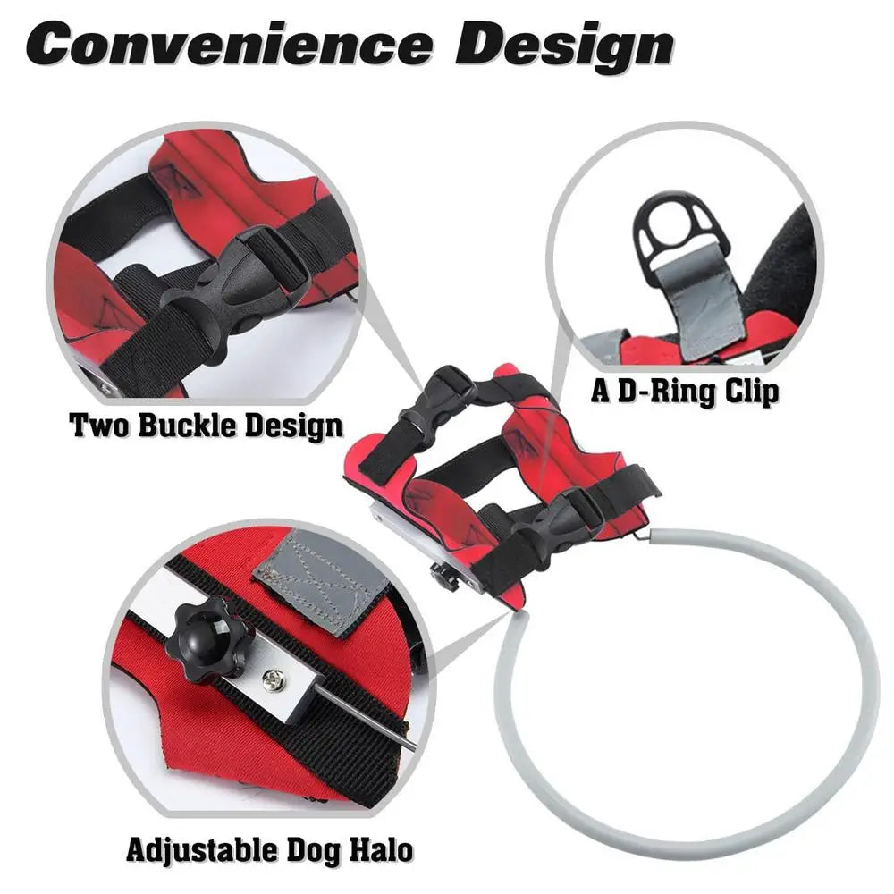 Blind Dog Harness Guiding Device Pet Halo Harness For Cats Pet Vest Ring For Blind Dogs Or Visually Impaired Pets To Avoid