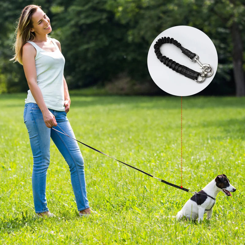 Leash Extension- Reflective Extension Leash Durable Flashing Elastic Extension for Hiking Walking Dogs Running