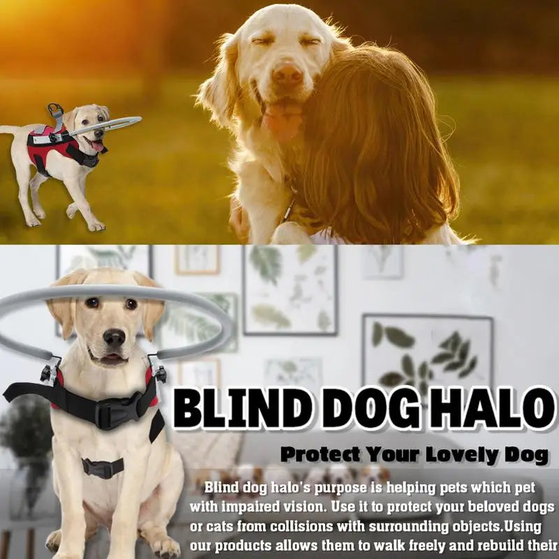 Blind Dog Harness Guiding Device Pet Halo Harness For Cats Pet Vest Ring For Blind Dogs Or Visually Impaired Pets To Avoid