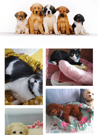 Dog Bed Small Medium Dogs Cushion Soft Cotton Winter Basket Warm Sofa House Cat Bed for Dog Accessories Pet Supplies