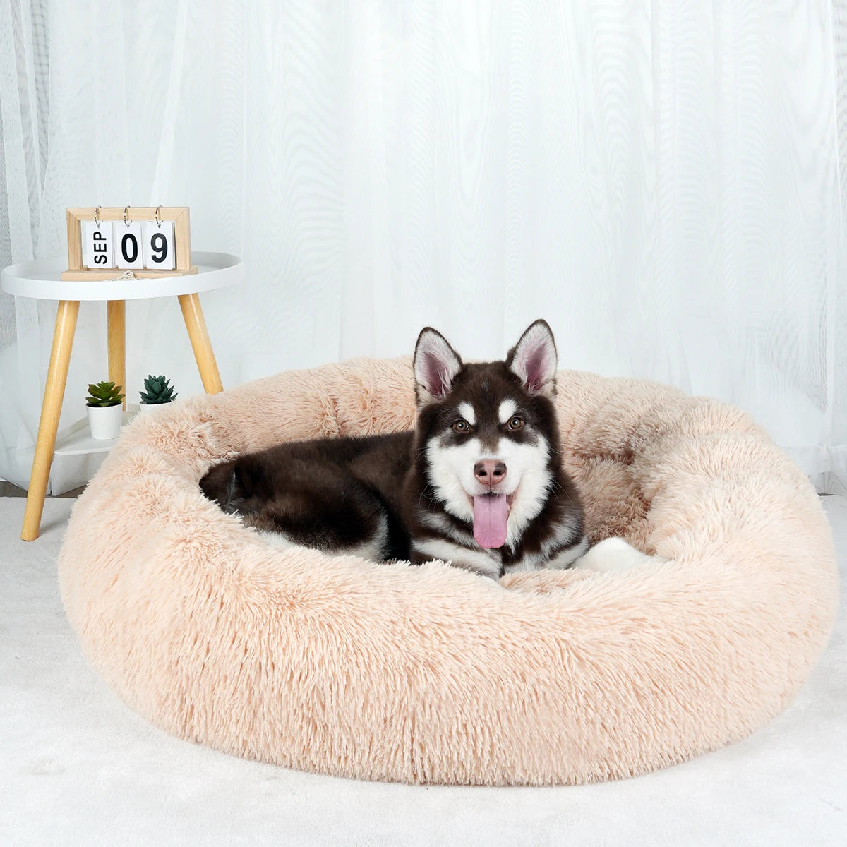 Dog Bed Donut Big Large Round Basket Plush Beds for Dogs Medium Accessories Fluffy Kennel Small Puppy Washable Pets Cat Products